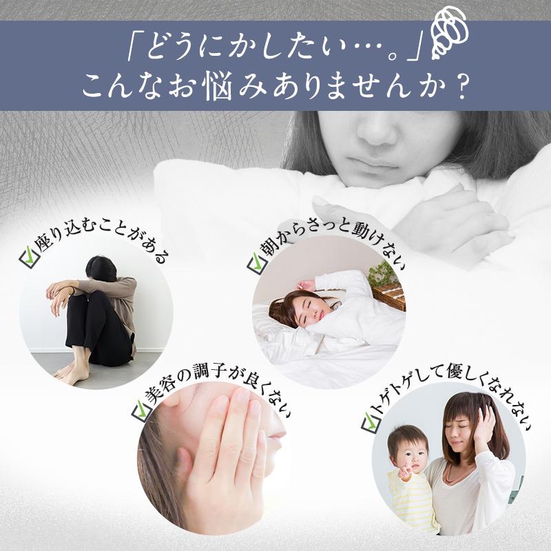 サジージュース 飲み比べ2本セット SajiOneオーガニック 柑橘ブレンド SajiOne 鉄分 ゆず オレンジ 美容 健康 | SajiOne | 04