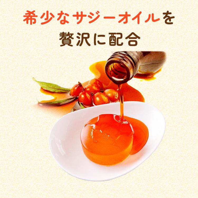 サジー石けん ピュリラ 洗顔石鹸 固形 乾燥肌 敏感肌 毛穴 ケアボディーソープ サジーオイル配合 サジーベリー | SajiOne | 03