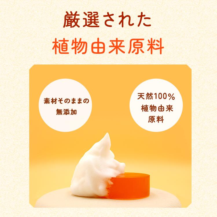 サジー石けん ピュリラ 洗顔石鹸 固形 乾燥肌 敏感肌 毛穴 ケアボディーソープ サジーオイル配合 サジーベリー | SajiOne | 04