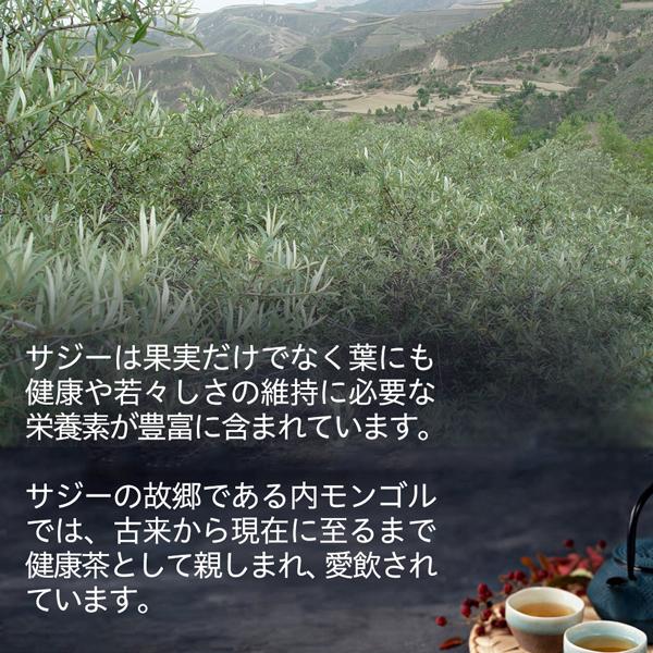 サジー茶 健康茶 8包入り お茶 中国茶 お試し サジー オーガニック ノンカフェイン 有機JAS ティーパック サジーベリー | オーガニック | 03