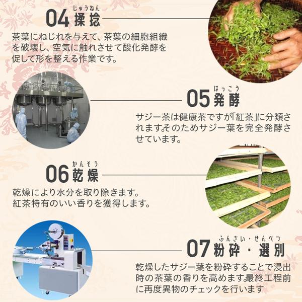 サジー茶 健康茶 8包入り お茶 中国茶 お試し サジー オーガニック ノンカフェイン 有機JAS ティーパック サジーベリー | オーガニック | 09