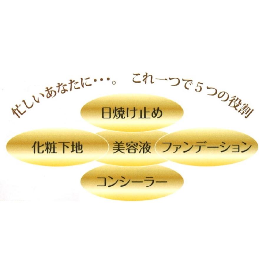 エステパートナー フィルウォーター クッション ファンデーション 若見え肌 つや 交換用レフィル付 在宅勤務 テレワーク |  | 03