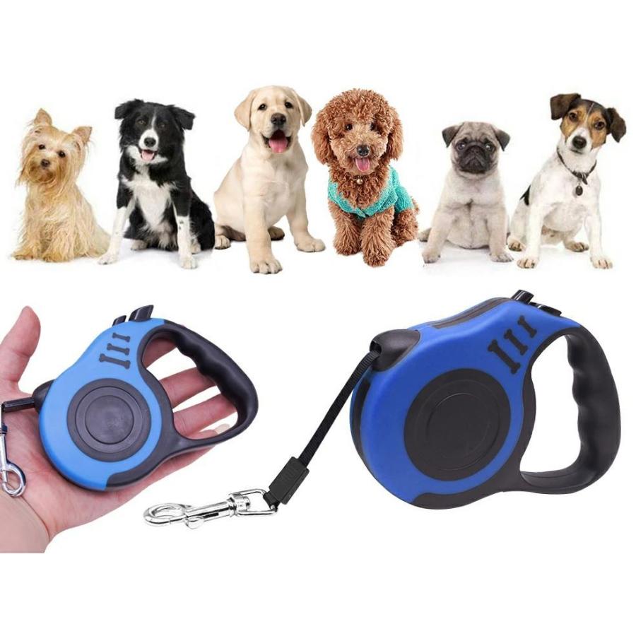 長持ち　伸縮リード　巻き取り式　フレキシリード　5m |  | 01