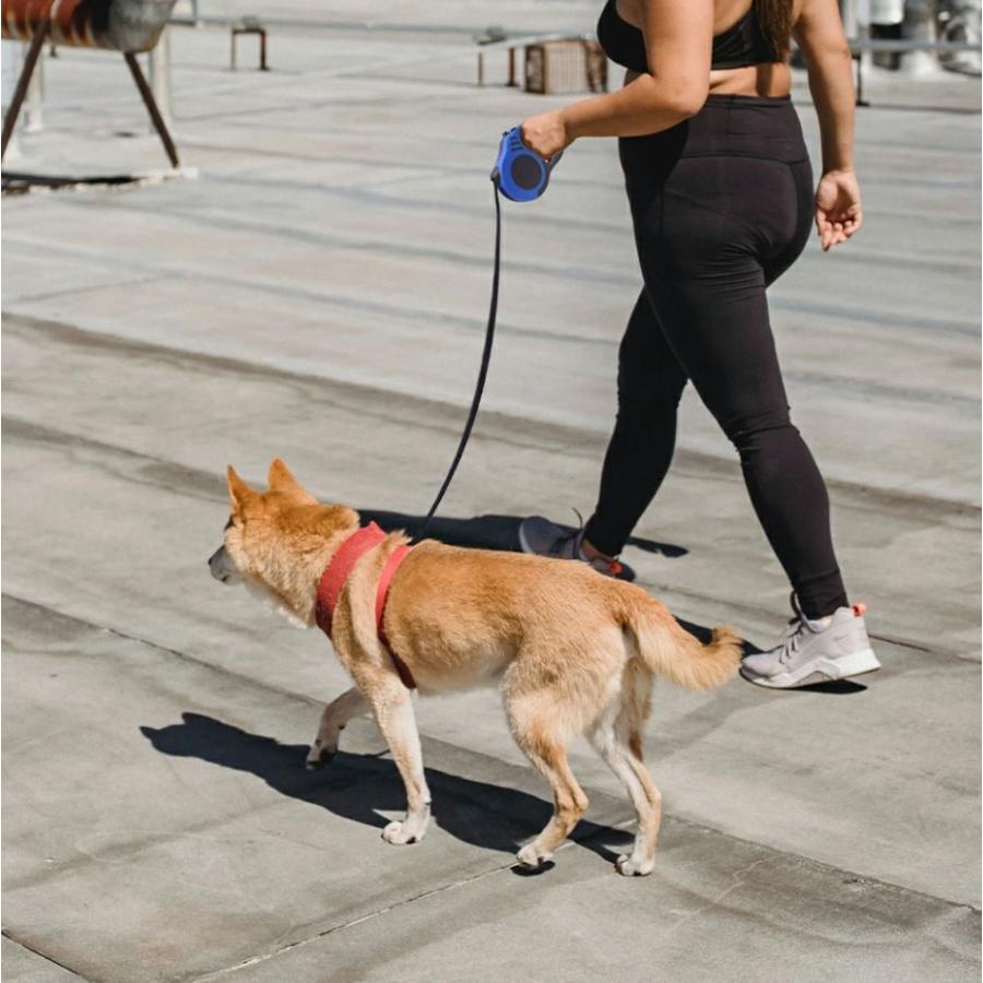 長持ち　伸縮リード　巻き取り式　フレキシリード　3m |  | 13