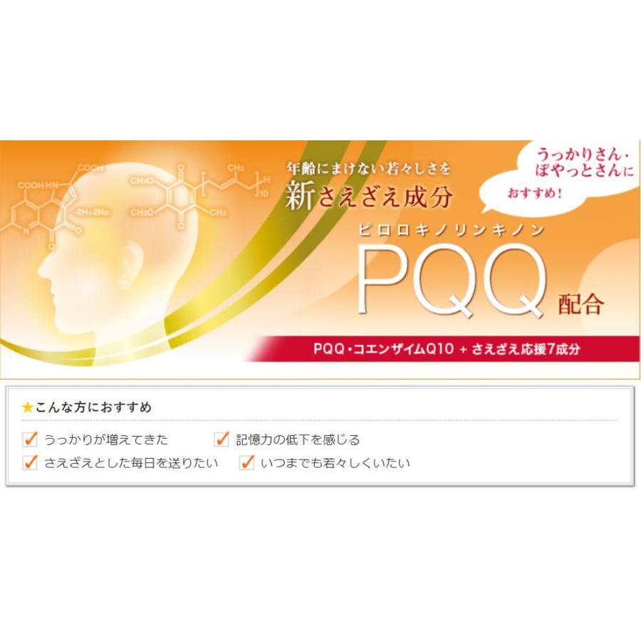 DHC PQQ+Q10 30日分 : Current Style ヤフー店 - 通販 - Yahoo DHC PQQ+Q10 30日分 : Current Style ヤフー店 - 通販 - Yahoo