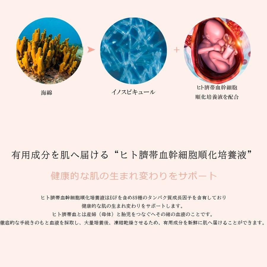 【正規品 】ハリトス HT コルセットファンデーション 15g |  | 03