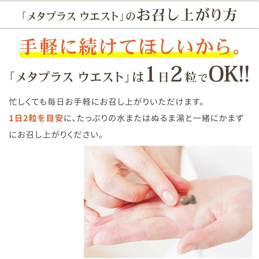 メタボリック メタプラス 15日分 250mg*30粒入 機能性表示食品 メタボリック メタプラス 15日分 250mg*30粒入 機能性表示食品