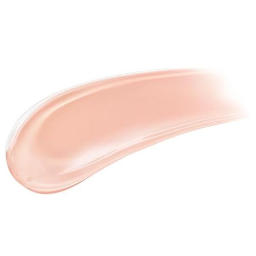 INTEGRATE 資生堂 インテグレート プロフィニッシュクッション 本体 全