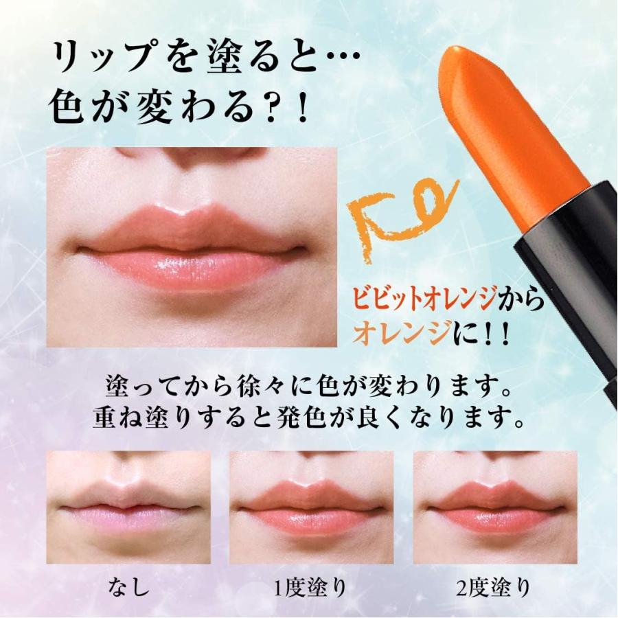 メイコー化粧品 ナチュラクター マジカルリップ 全6色 : Current Style