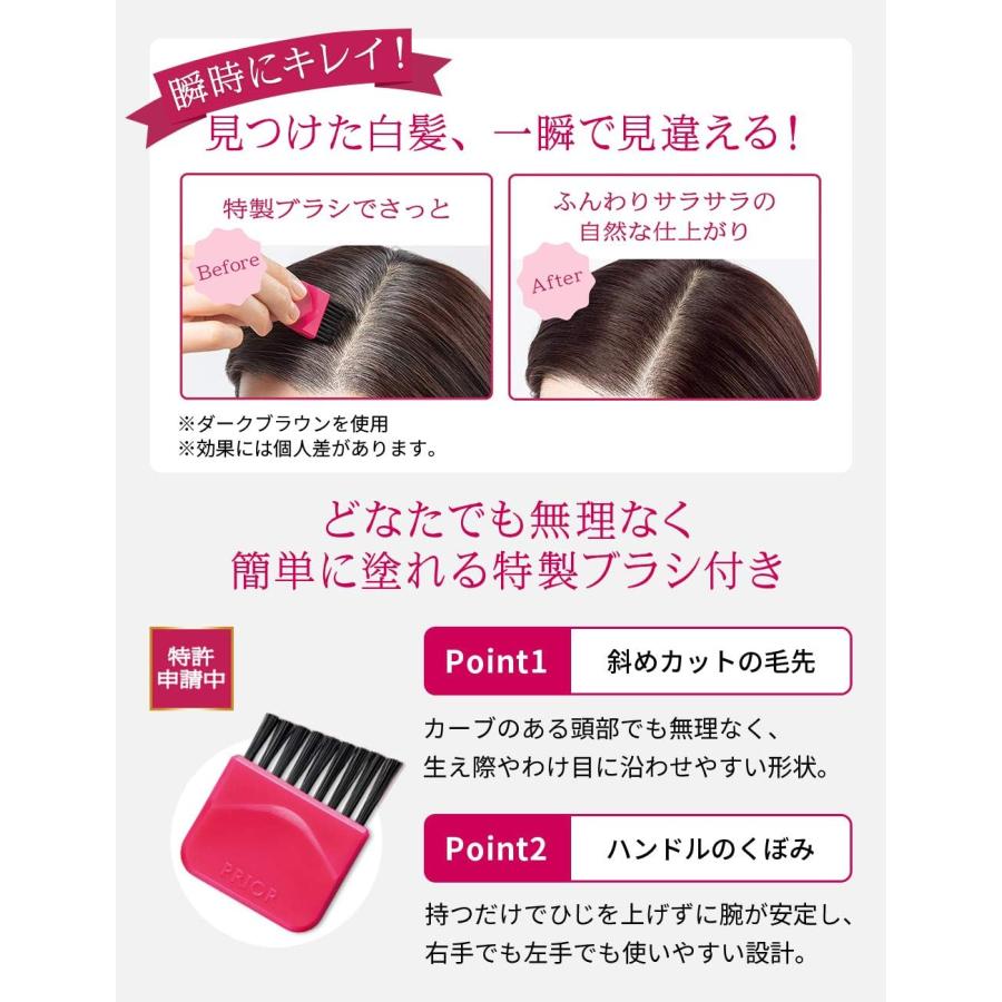 資生堂 プリオール ヘア ファンデーション 3.6g 全３色 |  | 05