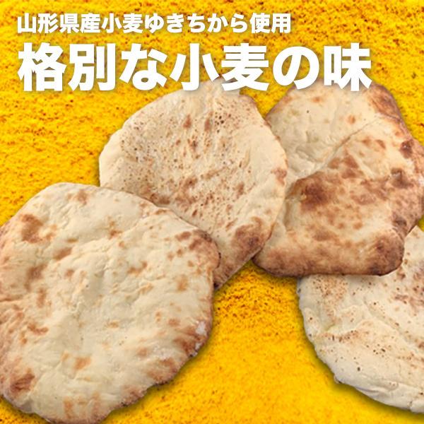 即決 カレー ナン 窯 中古現状 中川区十番町 早い者勝ち！