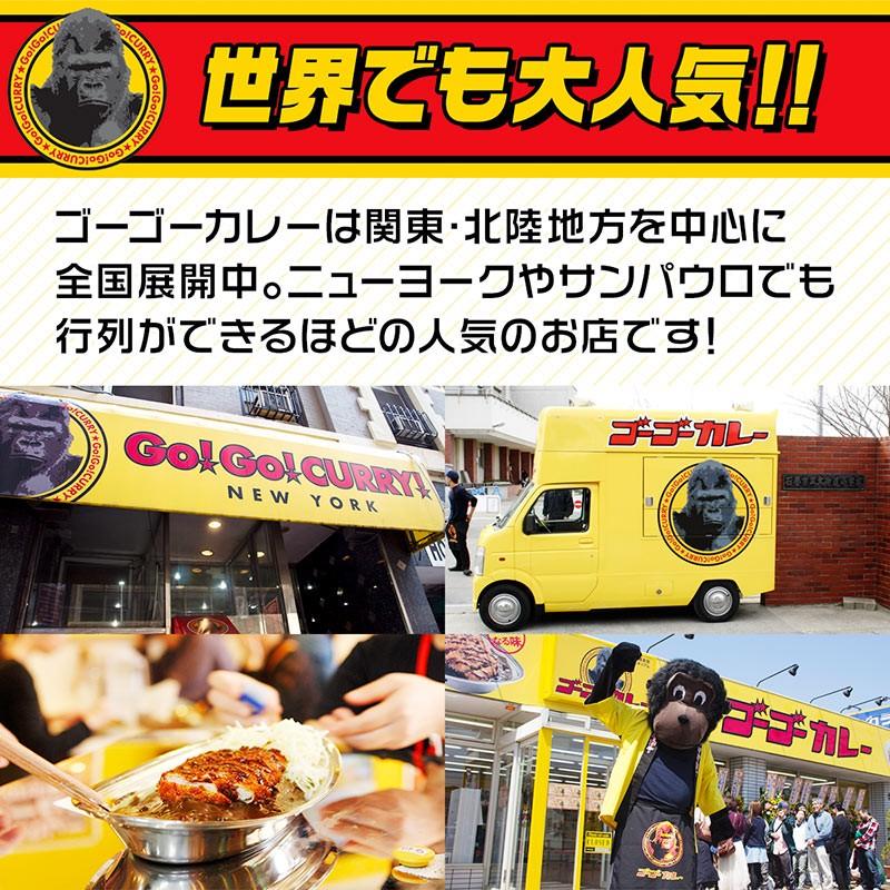 レトルトカレー ゴーゴーカレー 中辛 10食 セット カレー レトルト レトルト食品 お取り寄せグルメ お取り寄せ｜curry-ichiba｜09