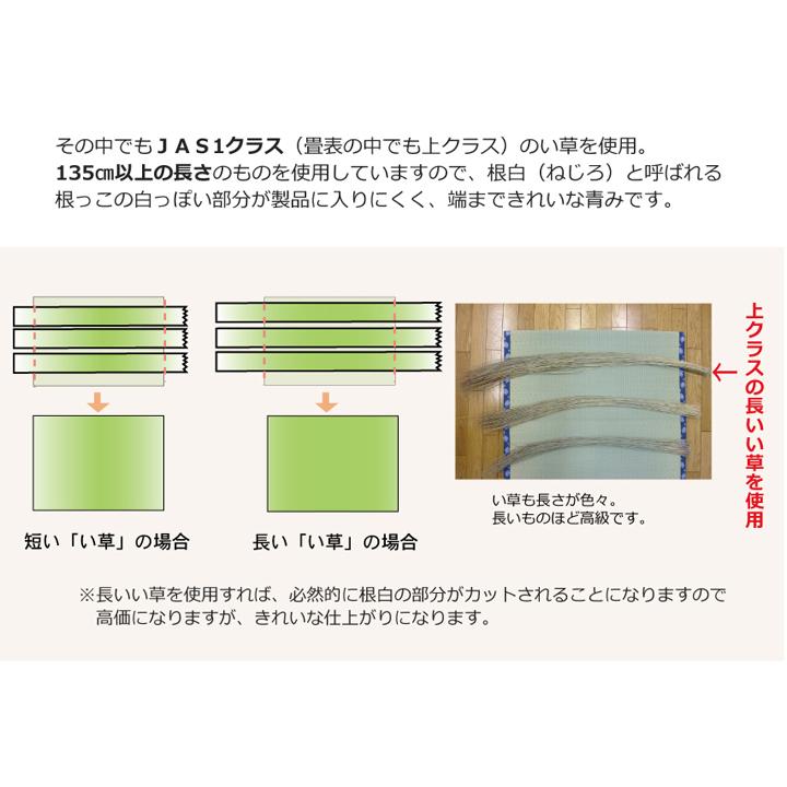 純国産 い草 上敷き カーペット 麻綿織 『清正』 本間3畳(約191×286cm） 熊本県八代産イ草使用｜curtainrugdaisakusen｜07