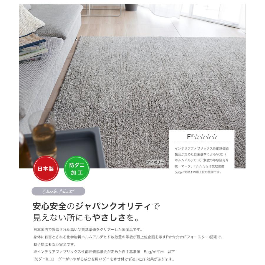 ラグ 洗える オールシーズン 丸洗い 防ダニ カーペット ウォッシャブル