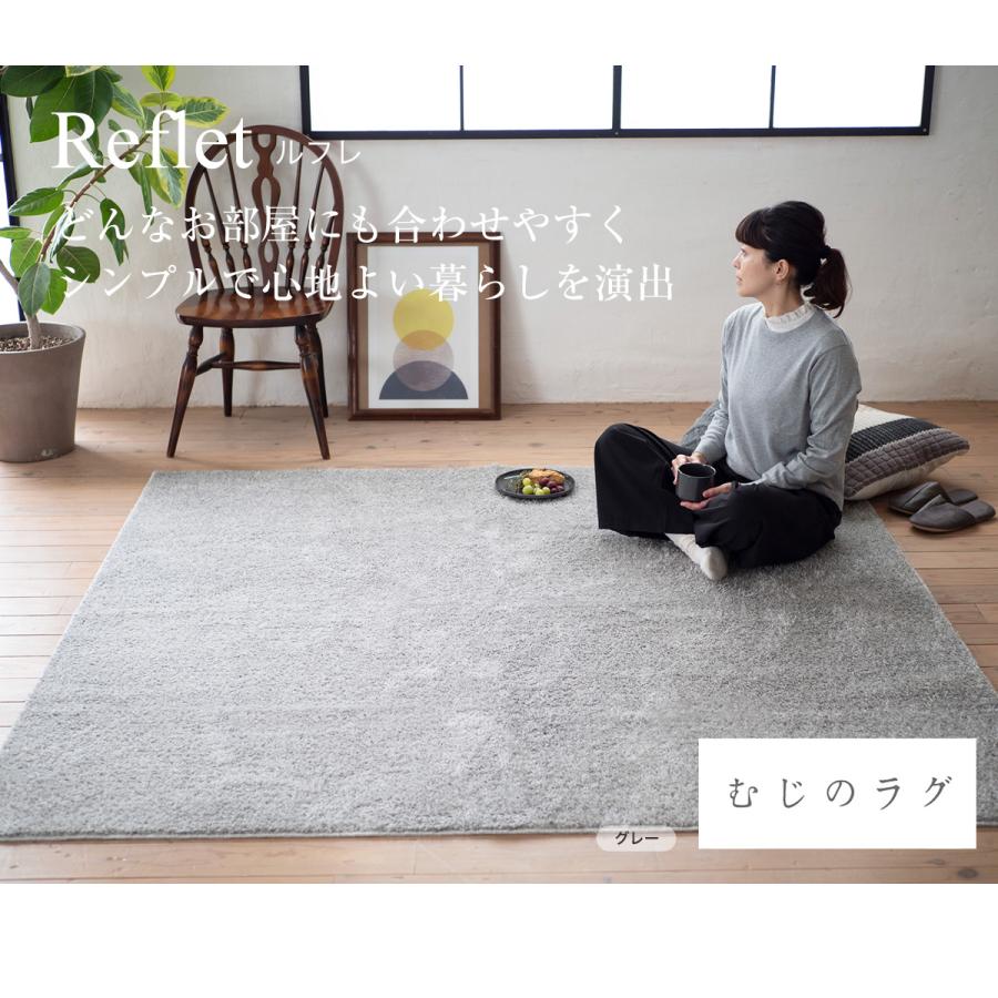 ラグ 洗える オールシーズン 丸洗い 防ダニ カーペット ウォッシャブル