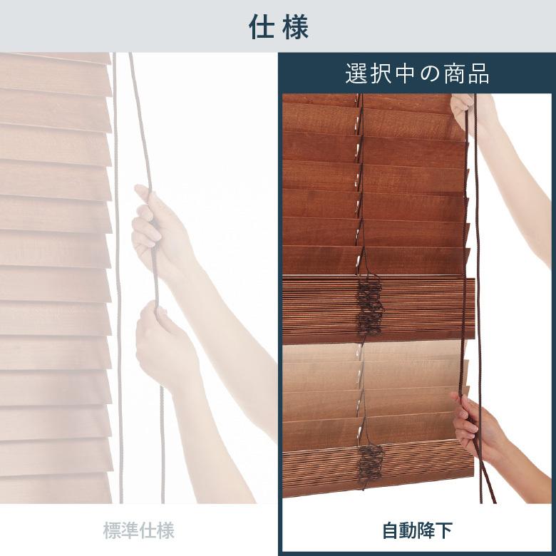 ニチベイ（Nichibei） ウッドブラインド クレール 自動下降式 ループ