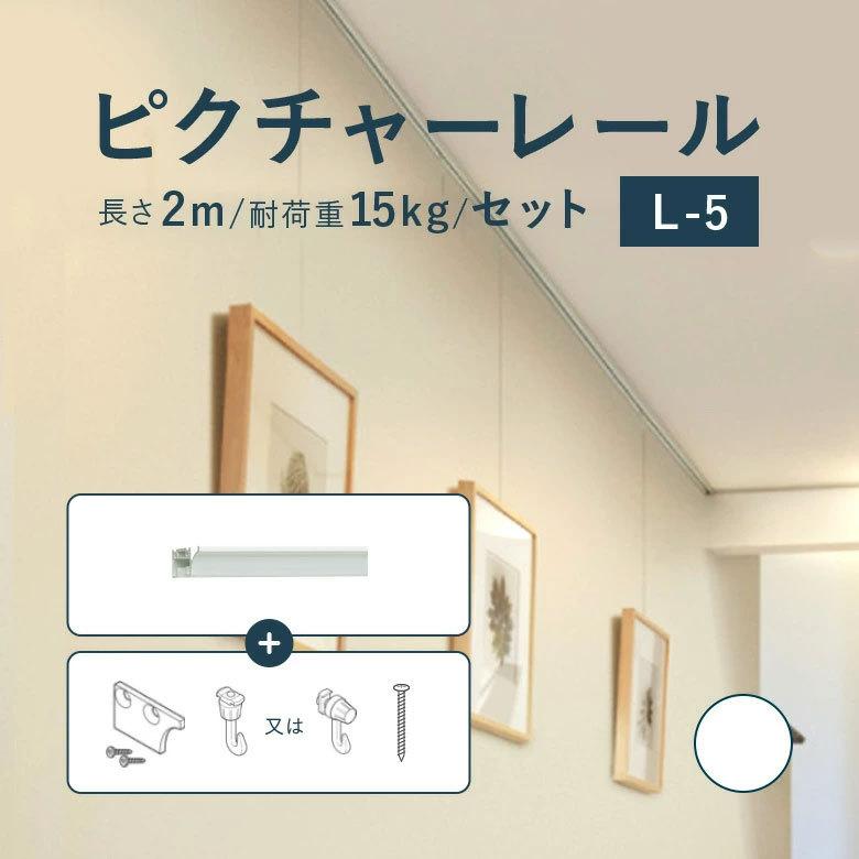 きよら様　確認用ページ　ピクチャーデイズも在庫あれば追加予定 CAINZ-DASH】ダイケン ピクチャーレール ワイヤーセット