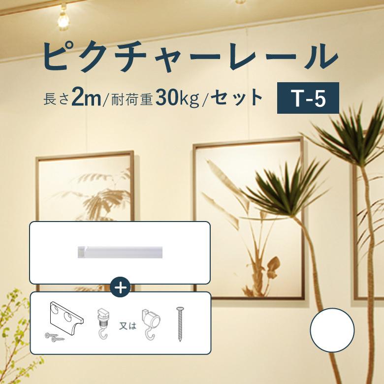 TOSO（トーソー） ピクチャーレール 《T-5》 セット 2.0m 耐荷重 30kg