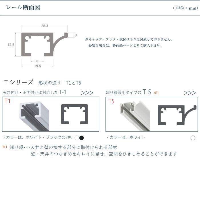 TOSO（トーソー） ピクチャーレール 《T-5》 単品 2.0m 耐荷重 30kg
