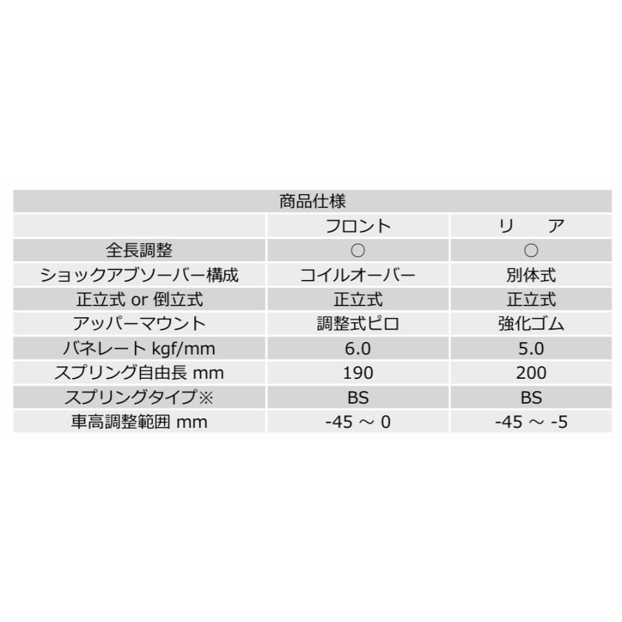 BLITZ（ブリッツ） シビック タイプR FK8 車高調キット 98648 BLITZ