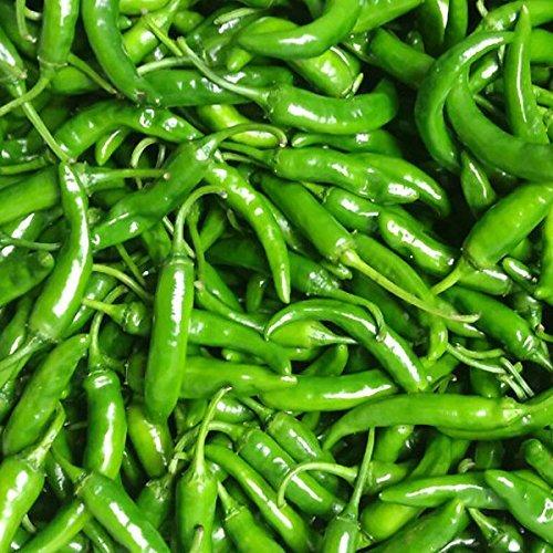 韓国産 青唐辛子 辛口 激辛 生とうがらし 0g 直営店に限定