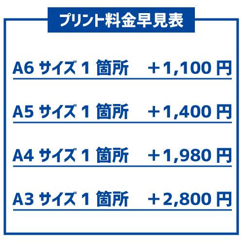ドライTシャツ30枚以上でのオリジナルTシャツ作成＠別途プリント料金必須！1枚＠900円 |  | 03