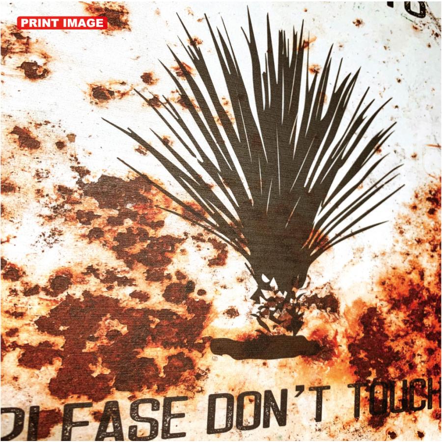 ガーデンサインプレート ドライガーデン 36cm＊25cm 「CAUTION SPIKY PLANTS 錆 ユッカ」 |  | 02