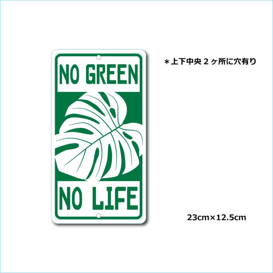 ガーデンサインハウスプレート ドライガーデン 23cm＊12.5cm NO GREEN NO LIFE A |  | 01