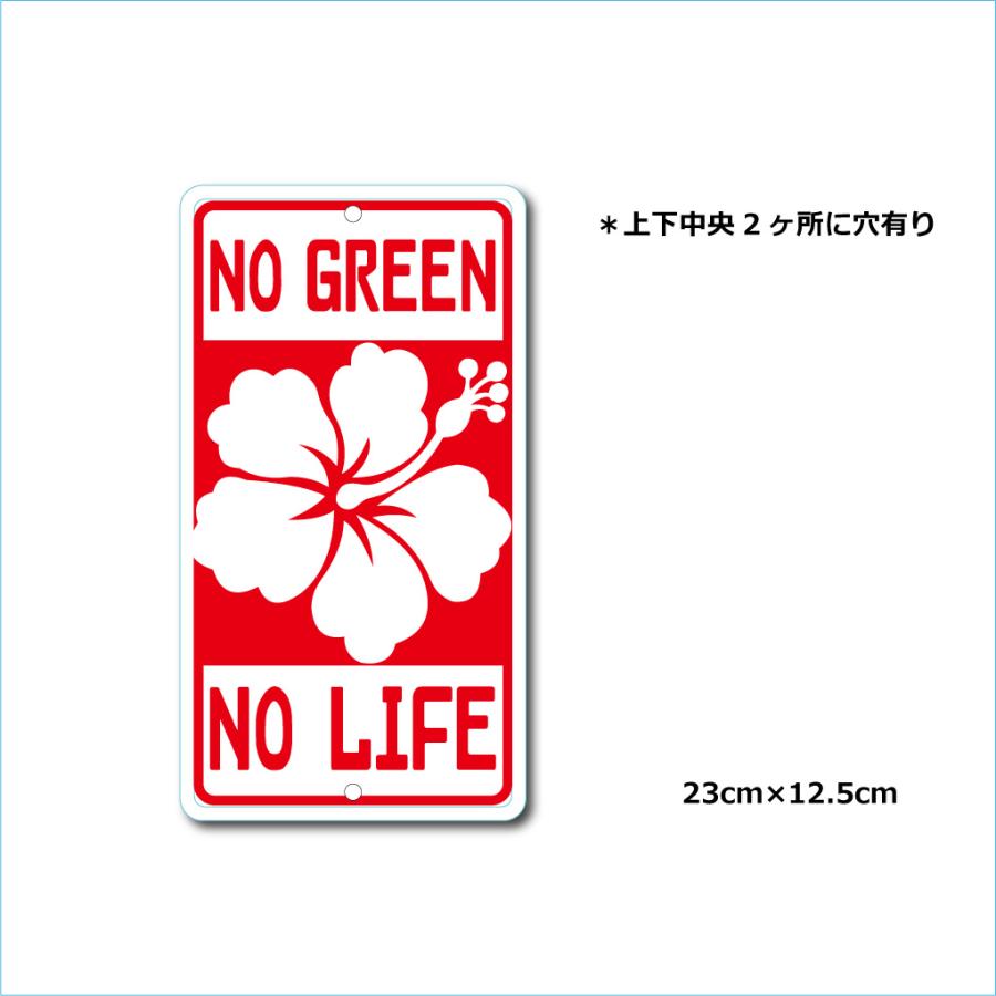 ガーデンサインハウスプレート ドライガーデン 23cm＊12.5cm NO GREEN NO LIFE B｜customplate｜02