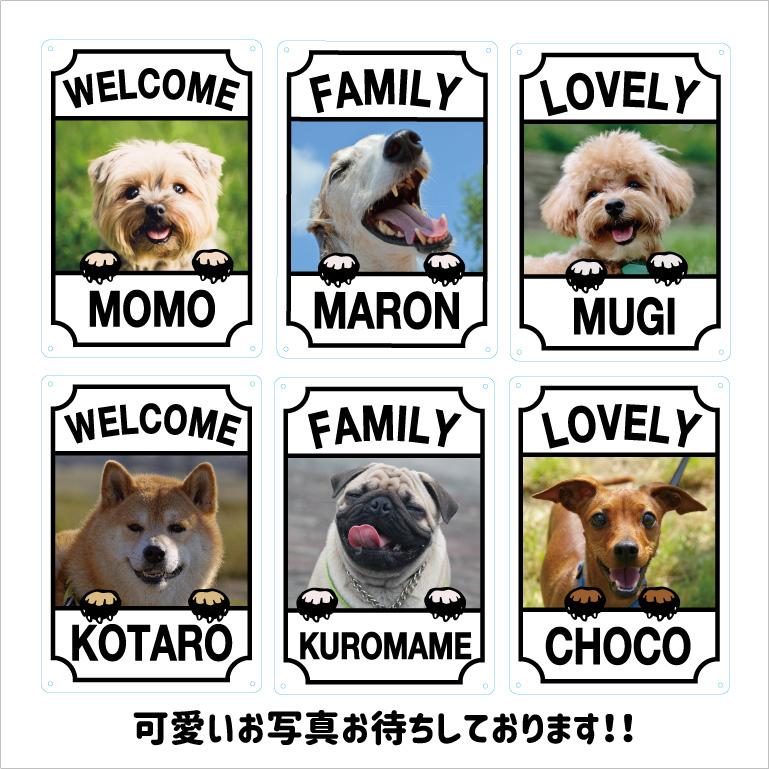 DOG 犬 看板 プリント カスタム オリジナル プレート　36cm＊25cm WELCOME FAMILY LOVELY |  | 03