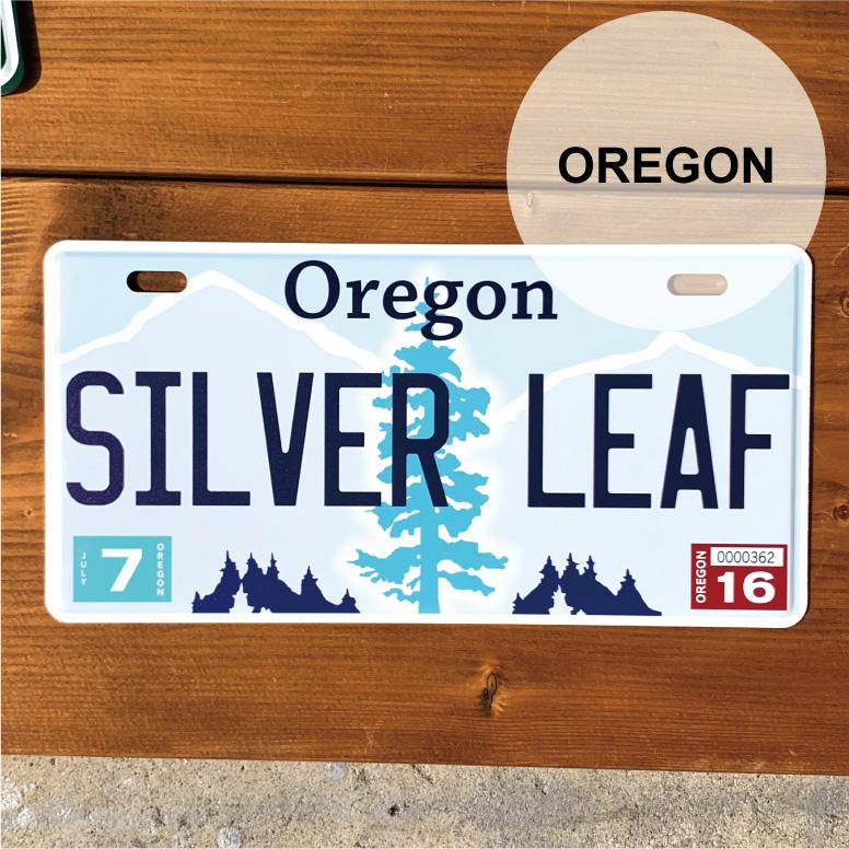 表札 プリント オーダー オリジナル おしゃれ 戸建 HAWAII カリフォルニア ニューヨーク ナンバープレート カスタムプレート アルミ 看板 プレゼント インテリア |  | 08