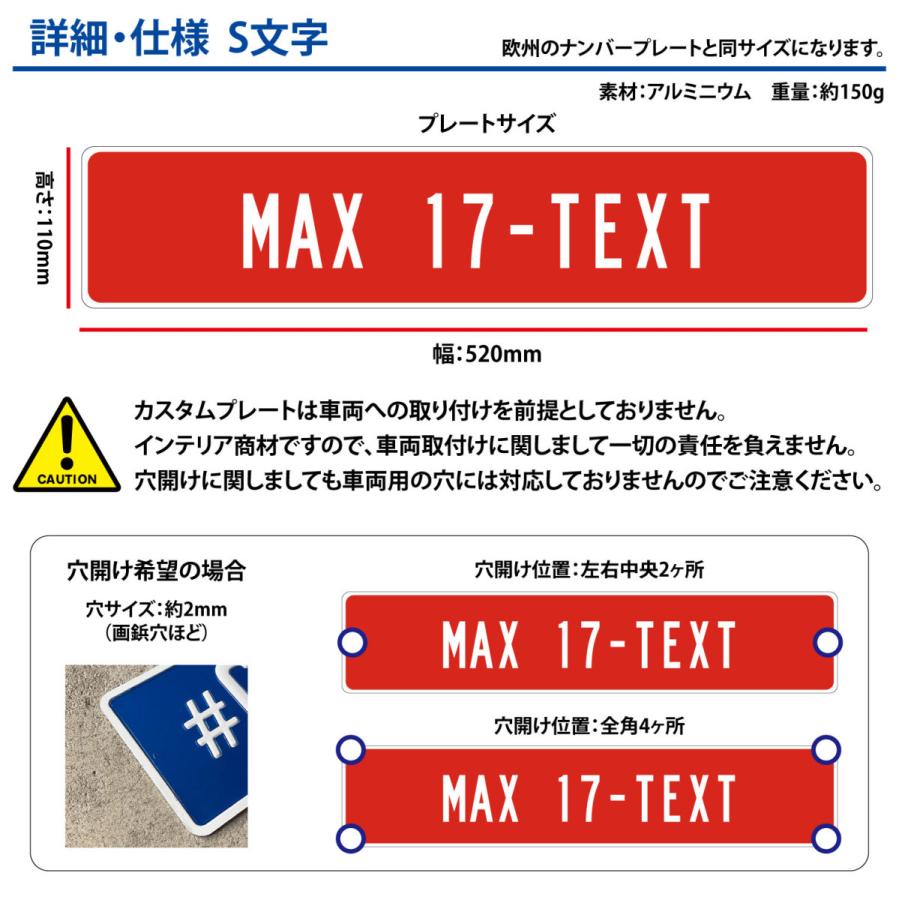 表札 おしゃれ （オーダー）エンボス カスタムプレート ユーロS文字 (大文字小文字17文字まで) 看板 戸建 ガレージ アルミ customplate |  | 01