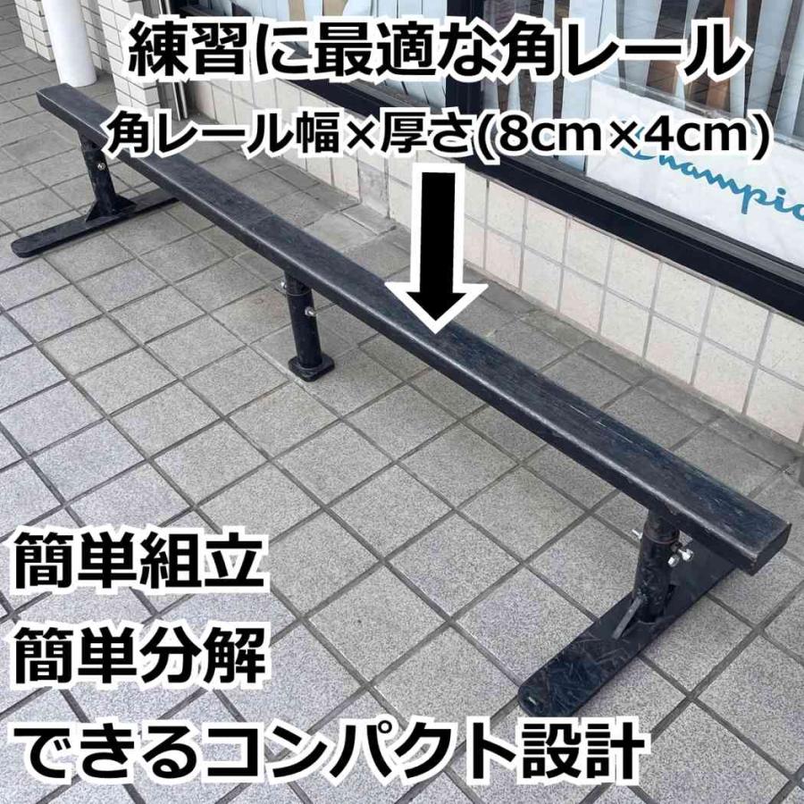 往復送料無料 1か月 レンタルレール フラットレール STS Skate Tool