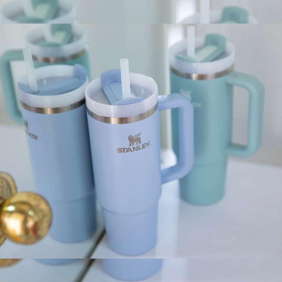 スタンレー 0.88L 真空クエンチャー アドベンチャーシリーズ トラベルタンブラー STANLEY FLOWSTATE TUMBLER  30oz 887mL 保冷 保温 ストロー ステンレス 国内正 |  | 19