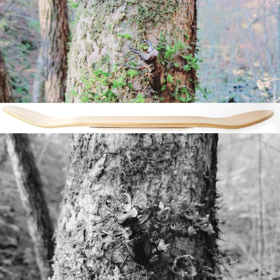 ディープマウンテン スケボー デッキ 7.375 7.5 7.75 8.0 8.125 インチ DEEP MOUNTAIN MIYAMA Vertical Stamping スケートボード  女子 キッズ | サーパス | 08