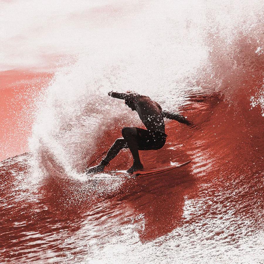 FCS II Sharp Eye Tri-Quad Fin Set シャープアイ フィン ショートボード用 エフシーエス2 FCSフィン FCS2 サーフィン エフシーエス 5枚セット トライクワッド | FCS | 05