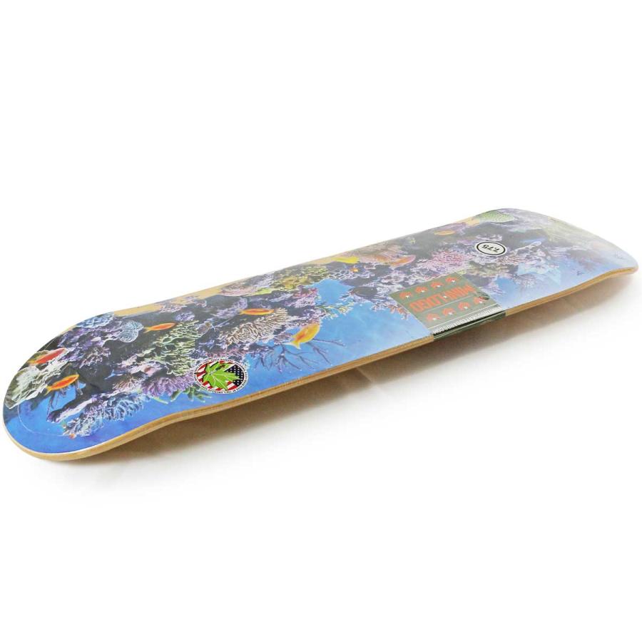 ミニロゴ 7.5 7.75 8.0インチ スケボー デッキ Mini Logo Skateboards Fish Tank Deck