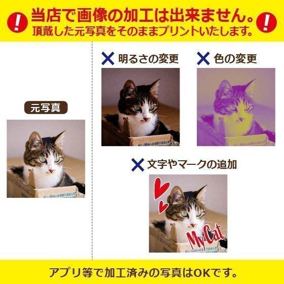 税込 送料無料 オーナーズグッズ ペット 犬 写真 グッズ オリジナル Tシャツ ペット 犬 写真 グッズ オリジナル Tシャツ 愛猫 プレゼント アプリ加工済ok 1枚から 本体色ホワイト 送料無料 綿100 5 6oz Www Emnovate Com