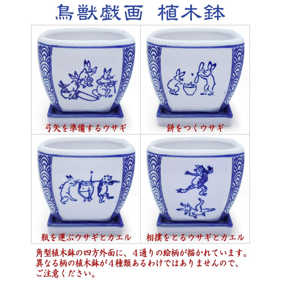 植木鉢 陶器 2点セット 和風 おしゃれ 皿付き 角鉢(鳥獣戯画)盆栽 蘭鉢 