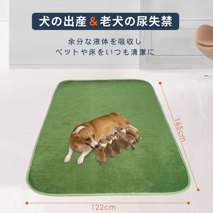 犬 猫用洗えるペットシーツ おしっこパッド グリ ペット用 マット 下敷き 介護シーツ 洗濯機で丸洗い 滑り止め加工 繰り返し利用可能 速乾 購入 おしっこパッド