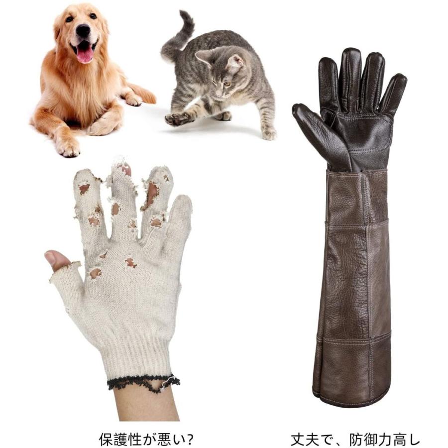 犬猫ペット用抗咬傷牛革手袋 バイトスティック 訓練用具 安全厚手 腕カバー手保護抗噛む手袋 引っかき対策 噛み付き防止 リス ハムスター 鷹 000 Cutestore 通販 Yahoo ショッピング