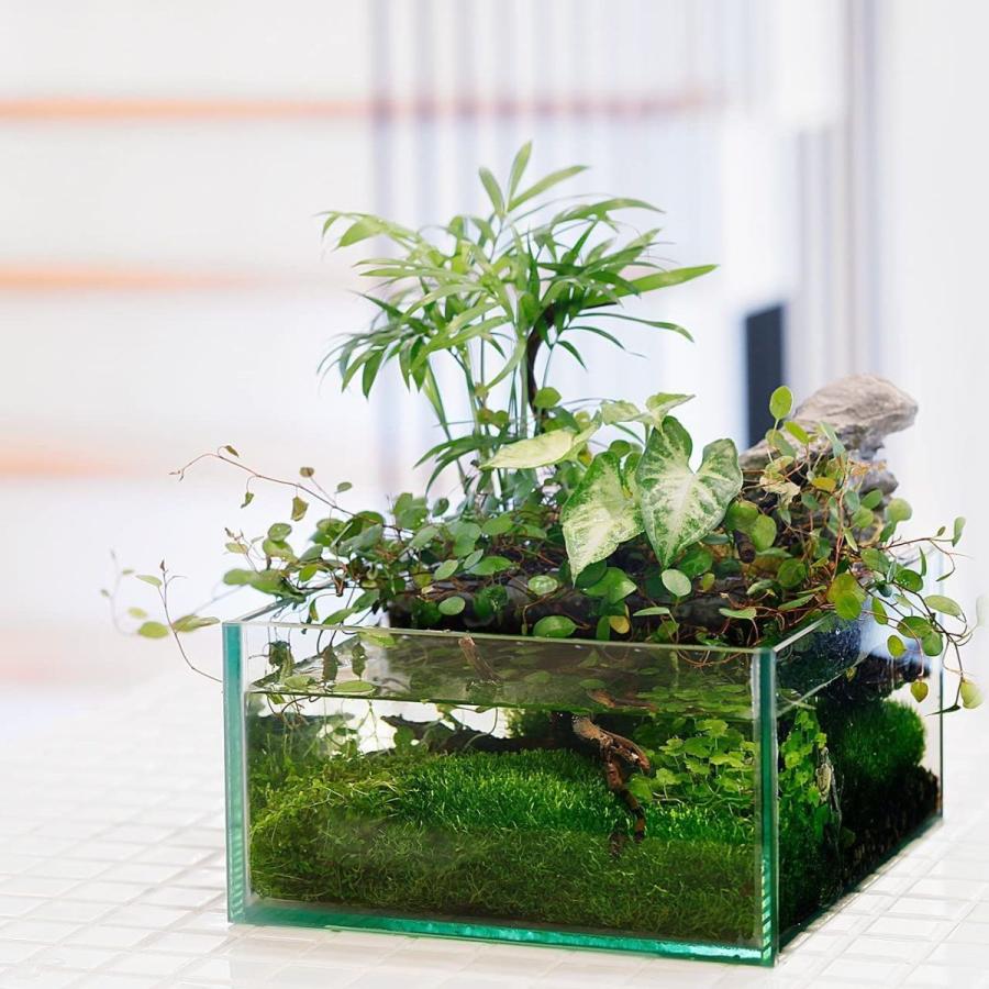 おしゃれな メダカ の 水槽の商品一覧 通販 Yahoo ショッピング