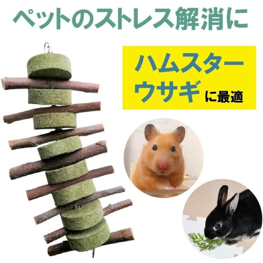 レビュー高評価のおせち贈り物 Allbright ハムスター 歯磨き ウサギ チンチラ リス おもちゃ 小動物 噛む ストレス解消 吊り下げ 木棒 Dprd Jatimprov Go Id