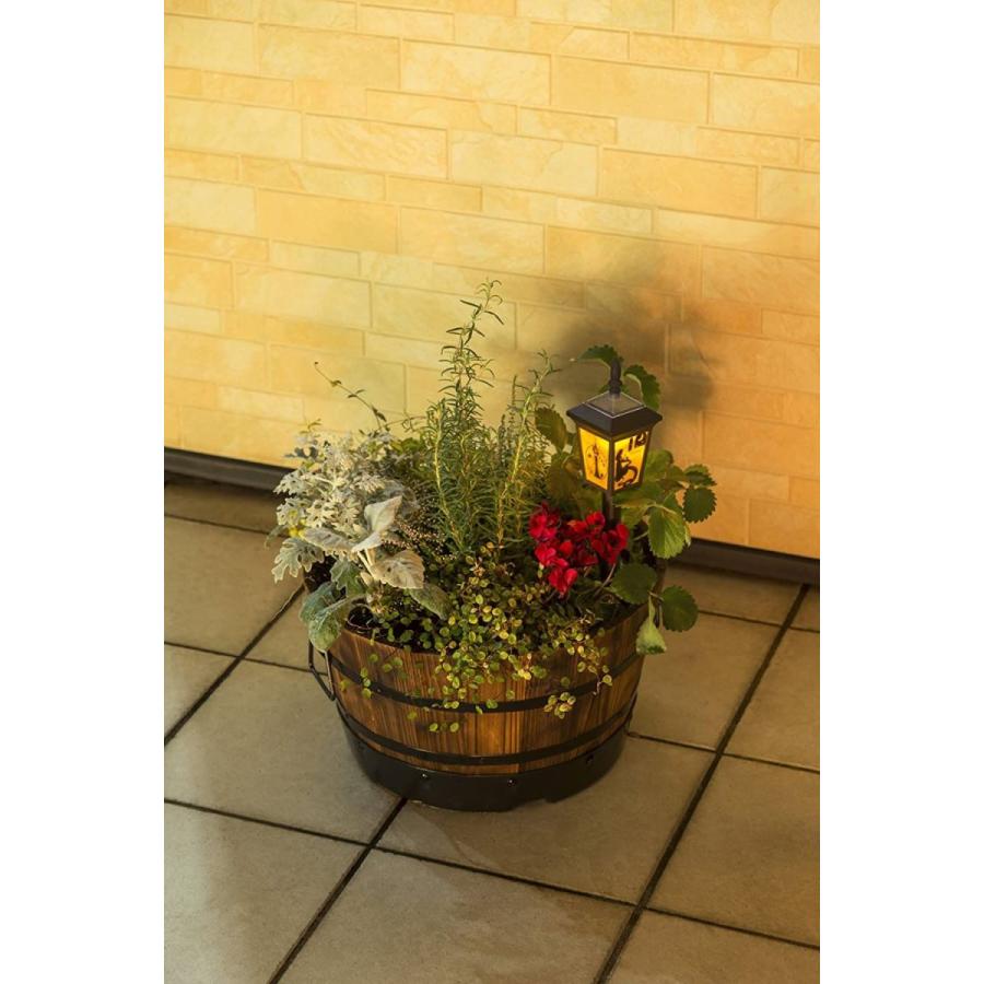 絶品 タカショー Takasho ソーラー ミニシルエットライト ラプンツェル 7 35 7 35 39cm Mc Taichi Com