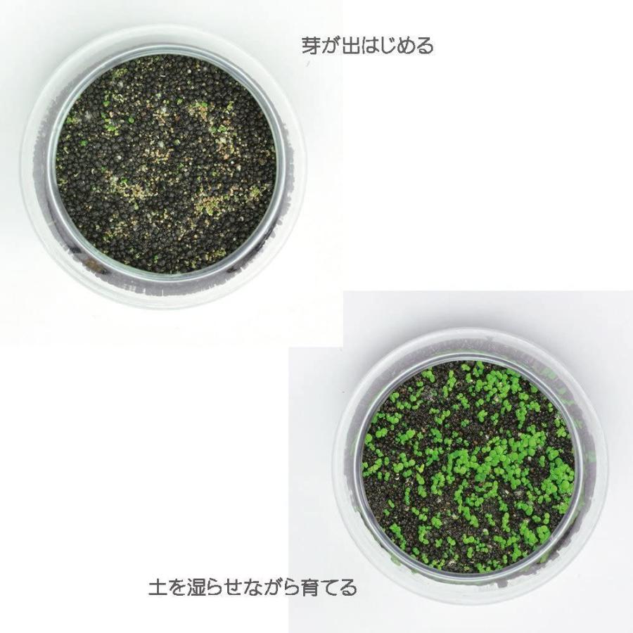 最大91 オフ Ledガーデンライト Ledg806 K Lpd Ledg806klpdk 東芝ライテック Toshiba Dprd Jatimprov Go Id