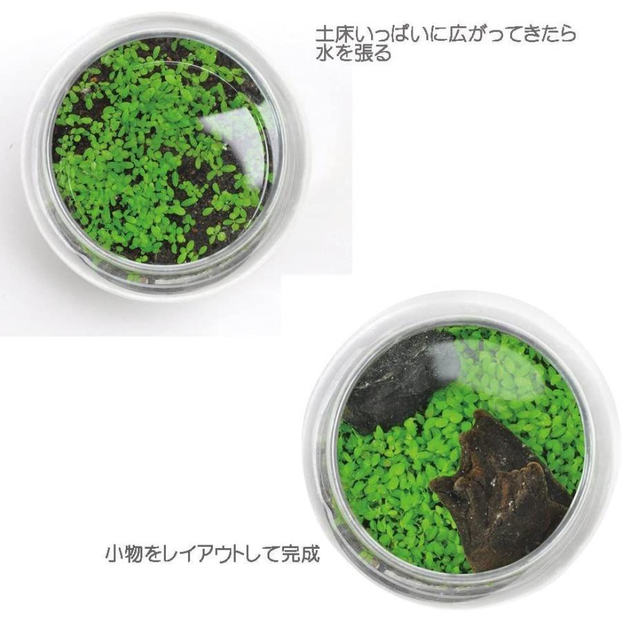 最大91 オフ Ledガーデンライト Ledg806 K Lpd Ledg806klpdk 東芝ライテック Toshiba Dprd Jatimprov Go Id