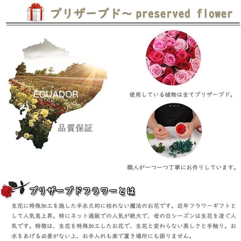 時間指定不可 プリザーブドフラワー 母の日 花 ギフト ガラスドーム 薔薇 ケース入り 永遠の花 ドライフラワー バラー 枯れない花 ブリザード フラワー Matzi27 Com