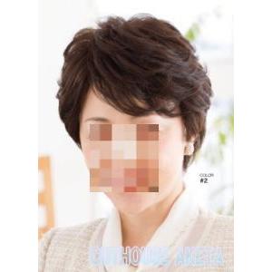 美容室のウィッグ「フェザー・レオンカ」 トップピース 女性用部分ウィッグ 全体の毛量をアップ用かつら SF-W206