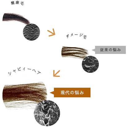 パシフィックプロダクツ ヴェンクス スーパーエクシード ヘアパック