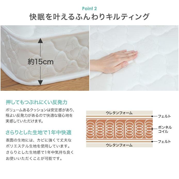 直送 代引不可】セミダブルベッド Pluto 収納付きベッド